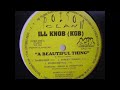 Ill Knob A Beautiful Thing 1998