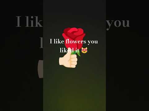 flowers and subscribe to halima queen vlogs