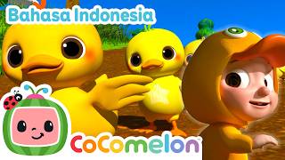 Download lagu JJ dan sepuluh bebek! | CoComelon Bahasa Indonesia - Lagu Anak Anak | Nursery Rhymes mp3 Download lagu JJ dan sepuluh bebek! | CoComelon Bahasa Indonesia - Lagu Anak Anak | Nursery Rhymes mp3