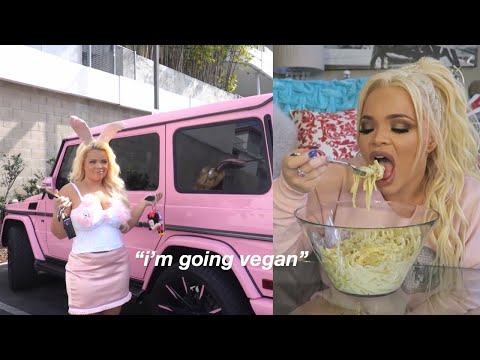 trisha paytas as my last 3 braincells
