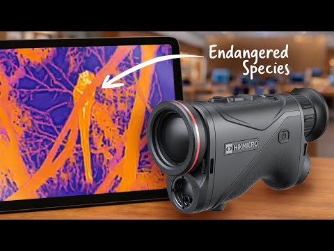 Thermal Monocular by Hikmicro the Condor SQ35L 2.0  - Unboxing & Field Test Wildlife Spotting