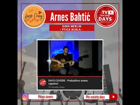 DIno Merlin - Ptica bijela (Cover by Arnes Bahtić) 'DAYS COVERS'