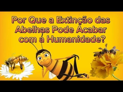 Extinção das Abelhas - Por que a extinção das abelhas pode acabar com a humanidade?