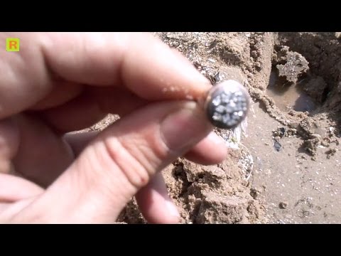 Поиск на пляже золото-брильянты кладоискатель