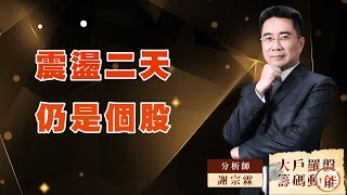 震盪二天仍是個股｜大戶羅盤籌碼動能 ｜謝宗霖 (圖)