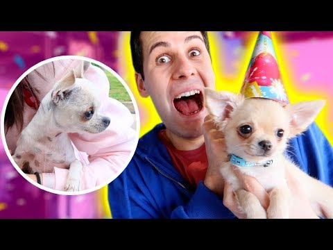 FESTA DI RAY! *KIRA ACCETTERÀ L'INVITO?*