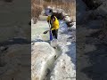 Fishermen Try To Catch Big Fish On Iceland Fish Fishing