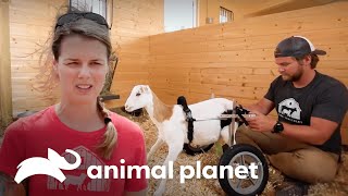 Thumbnail del capítulo