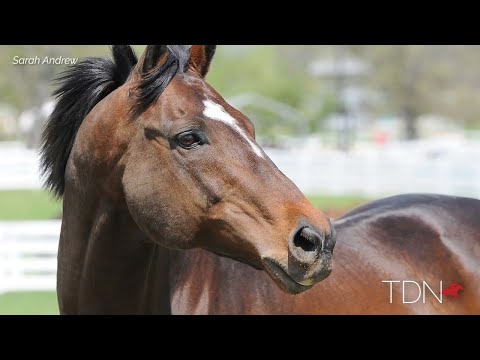 The Incomparable, Invincible, Unbeatable Cigar