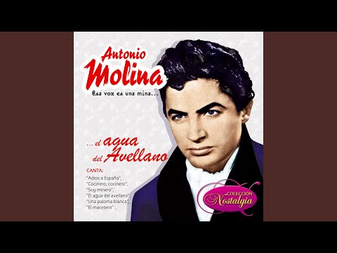 Adiós Lucerito mío