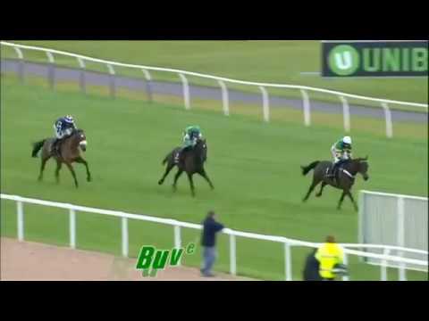 Top 25 Greatest Hurdlers