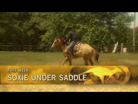 ¡NUEVO! En FSN, domingo 10 de julio de 2011: Un problema de resistencia no es rival para Clinton ...