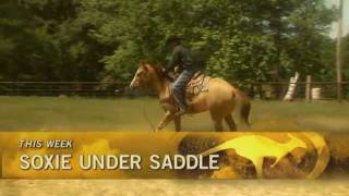 NEW!! On FSN, Sunday July 10, 2011: A bucking problem is no match for Clinton and the Method.