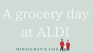 【ALDIで買い出し】ドイツ系スーパーALDIに行ってきた◆国際結婚 | 子育て | アメリカ南部 #2