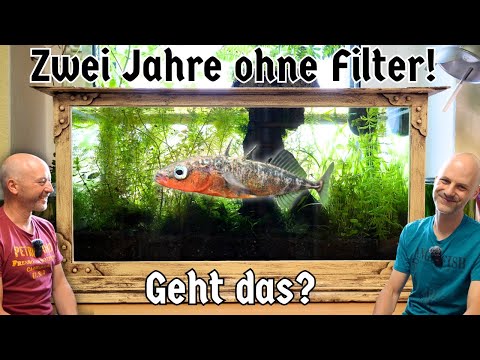 Zwei Jahre filterloses Aquarium: Neues Leben im historischen 1890er-Setup!