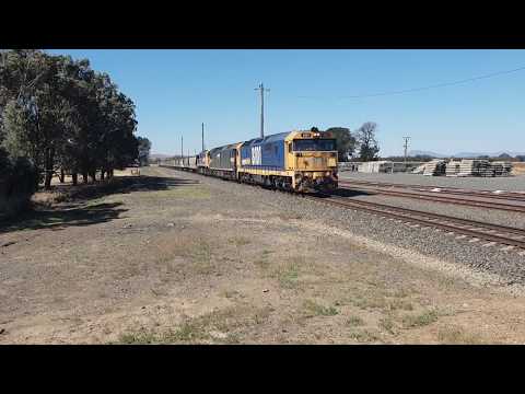 Pacific Nationals 1CK6 grain train at Maroona, 13/01/19