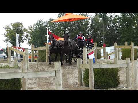 KOZLOWSKI Jacek, POL, FEI WCH Pairs, Kronenberg NL, Marathon Obs 7, 11 09 2021