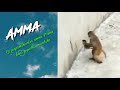 Yogi Bgm Mothers Love Prabhas Ye Nomu Nochindo Song Nayanthara VV Vinayak