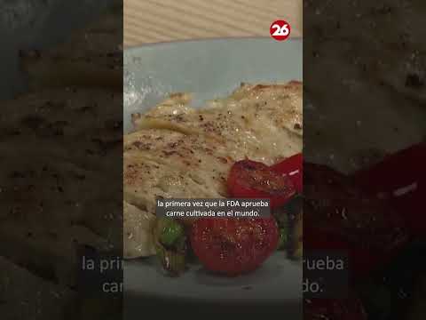 🥩¿SE VIENE LA CARNE DE LABORATORIO?🌽