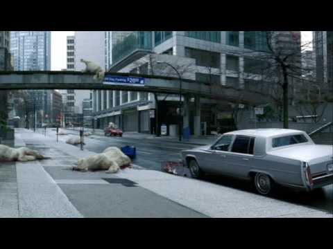 Polar Bears - planestupidcom