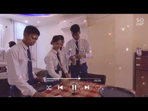 Hotel Management Cocktail Making Classes, Food and Beverage