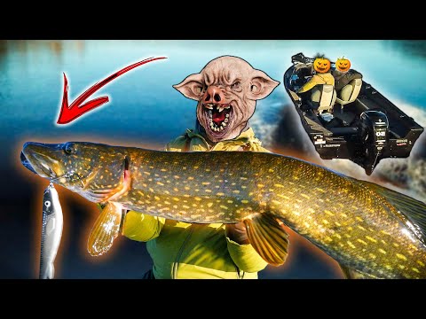 TRICK OR PIG?! (Halloween Edition) | Team Galant