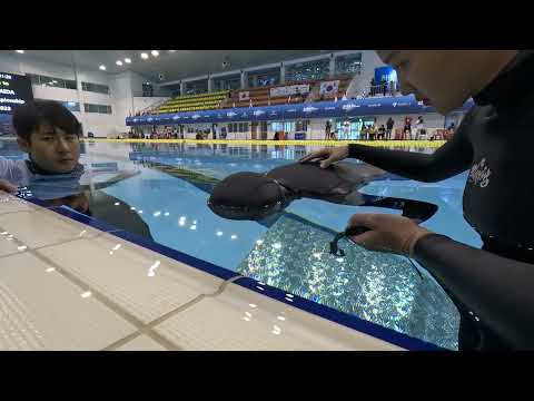 2023.6.15 30th AIDA Jeju Pool World Championship / STA 5:40 / White 宇芳