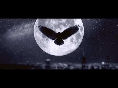 EpiCure & Nirad - Be Zoodi Miad (MUSICIRANO)