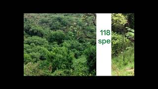 Floral species richness of Tchabal Mbabo