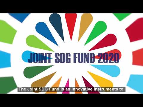 Joint SDG Fund 2020 Highlights