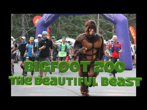download lagu mp3 mp4 Bigfoot 200 Photos, download lagu Bigfoot 200 Photos gratis, unduh video klip Bigfoot 200 Photos