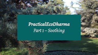 Practical EcoDharma | Part 1 – Soothing
