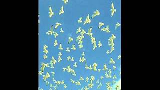 Moby - Chord Sounds (Mrdavantivsme Remix)