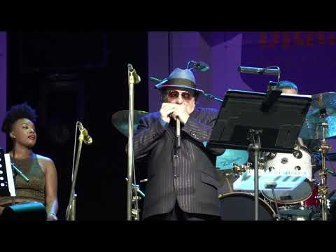 Van Morrison - Medley | HIBF - Grolloo | 14/6/2019