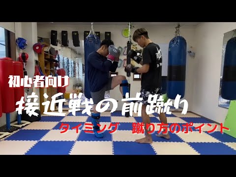 接近戦での前蹴りの使い方【初心者向け】