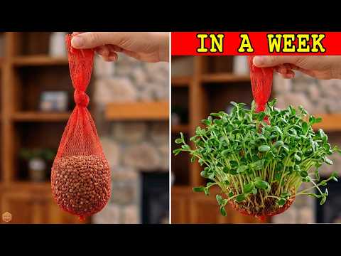 30 Grandma's Indoor Gardening Hacks Make Your Houseplants Thrive