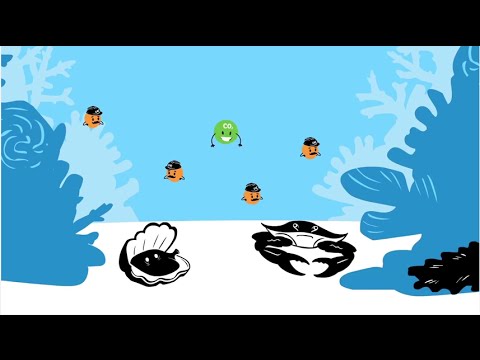 Video facade placeholder
