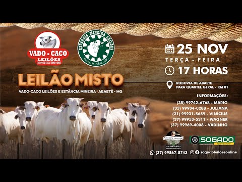 LEILÃO MISTO VADO-CACO E ESTÂNCIA MINEIRA LEILÕES EM ABAETÉ/MG - 25/11/2025
