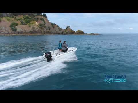 SmartWave: SW4200 Model