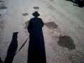 Pug Shadow Walking - Here's Mosie! on Pug Reality TV