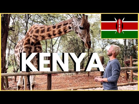 5 Things I LOVE About KENYA 🇰🇪