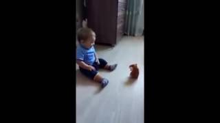 Toy hamster frightens baby???