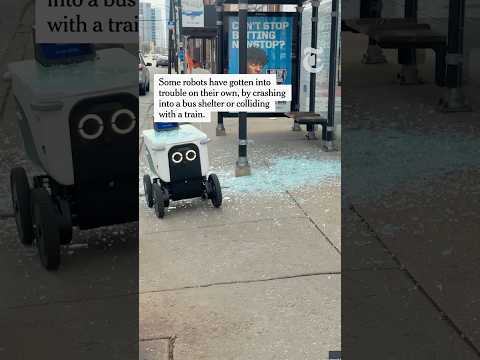 Food Delivery Robots Run Into Trouble