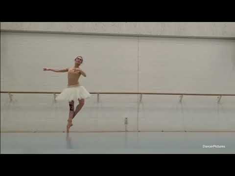 Anna Ol | Dance Dance Dance