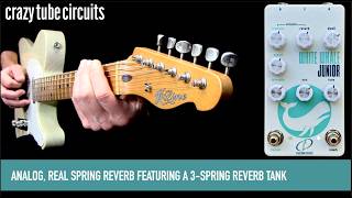 Video thumbnail for Crazy Tube Circuits WHITE WHALE JUNIOR by Mike Hermans