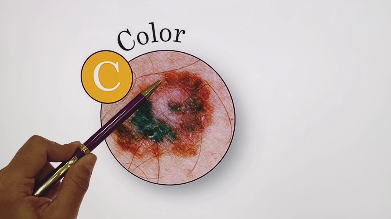 Dariela Capacho Estrada-24