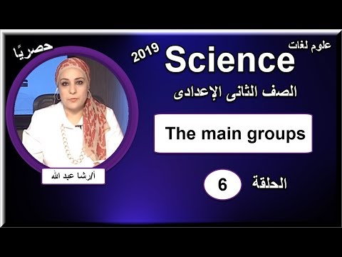 علوم لغات الصف الثانى الإعدادى 2019 - الحلقة 06 - The main groups