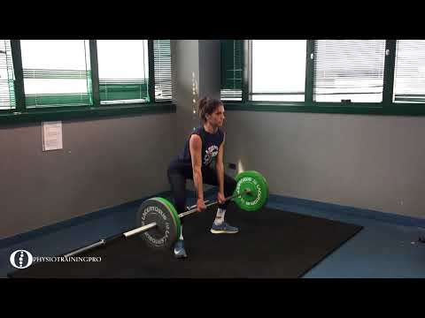 BB sumo DL/Squat