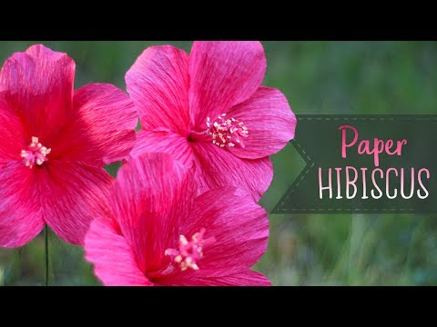 How To Make Crepe Paper Hibiscus Flowers