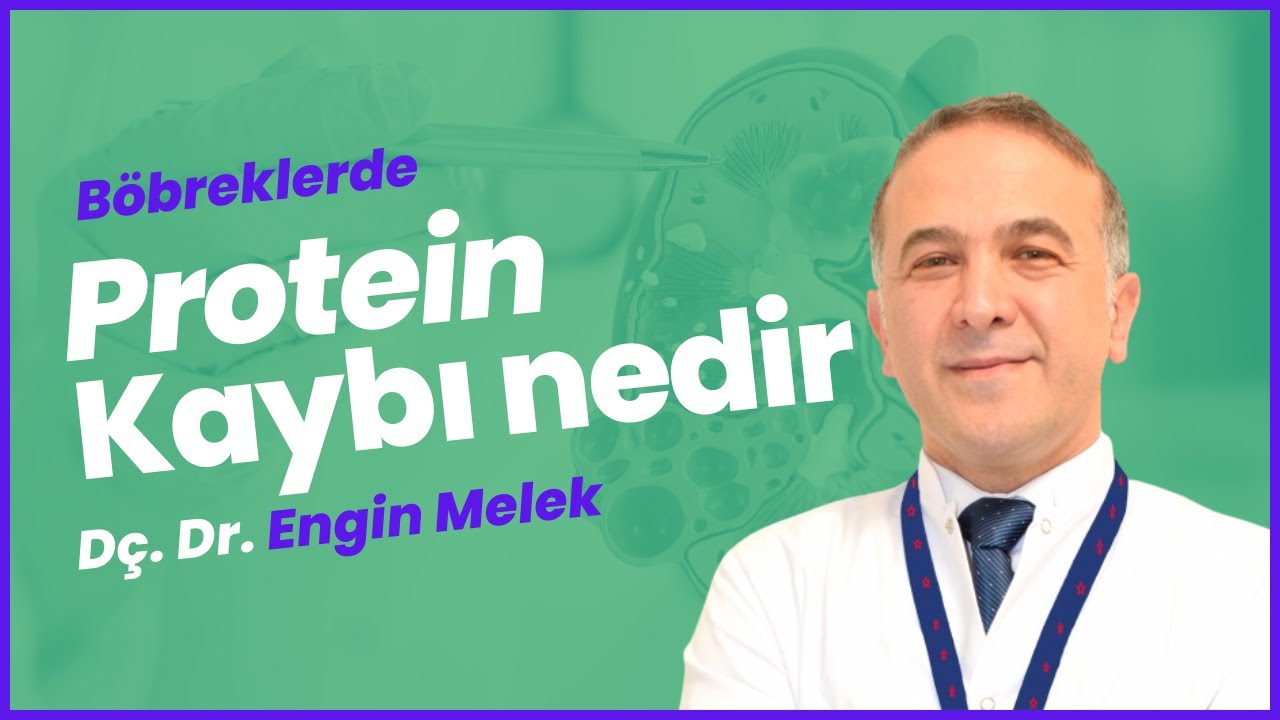 Böbreklerde Protein Kaybı Ne Demektir?